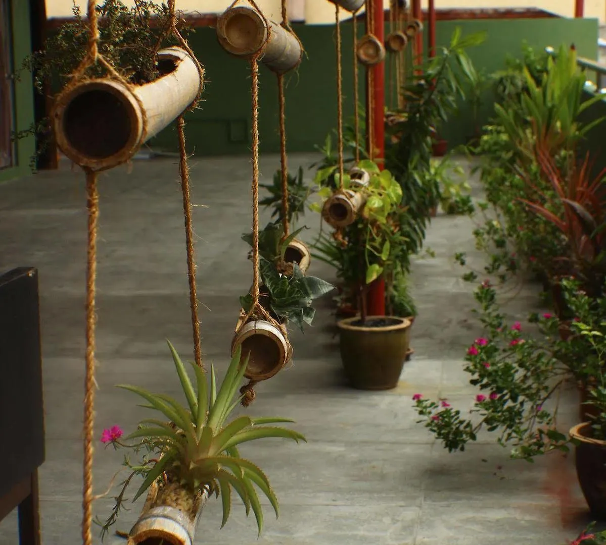 Birdnest Guesthouse, Gaia Rooftop Cafe Kuala Lumpur 0*,